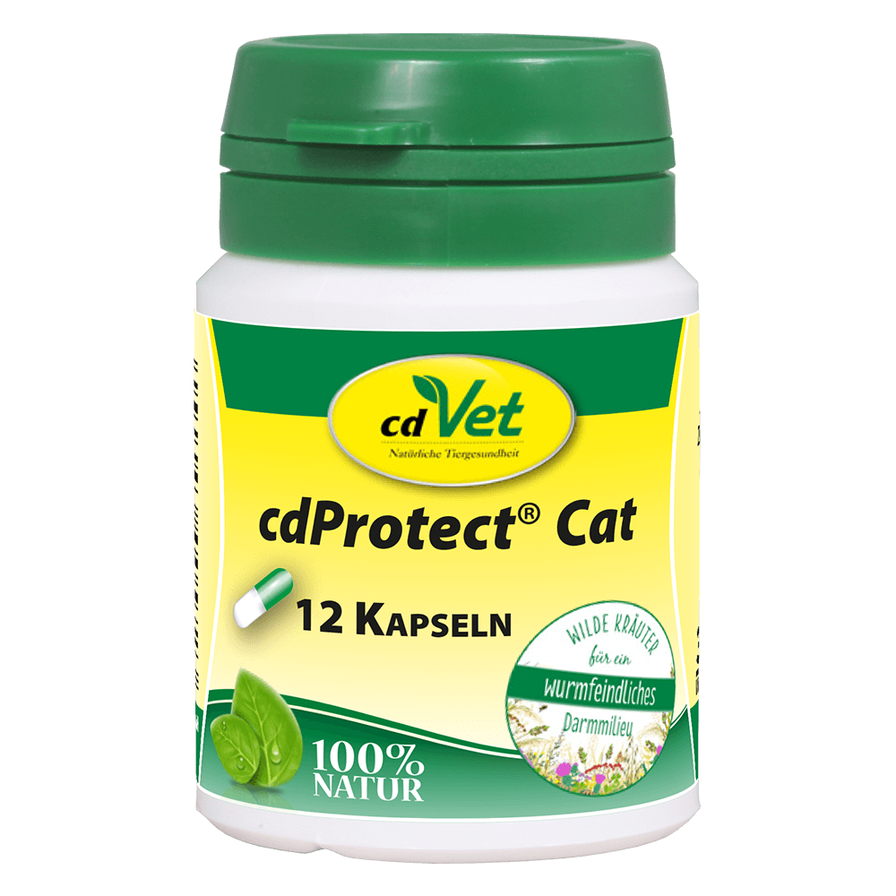 cdProtect Gato 12 Cápsulas