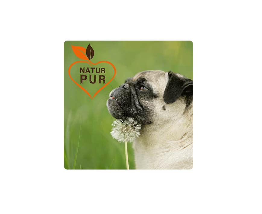 Alimento Completo para Perros Fit-Crock Sensible Cordero Mini