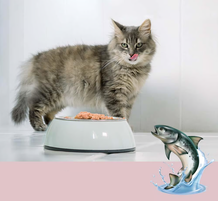 feliTATZ FellGlanz 50 ml