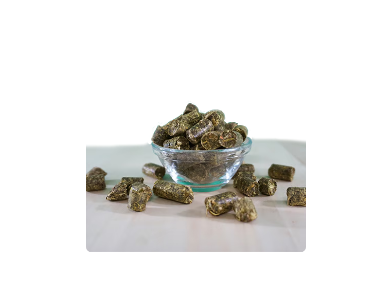 EquiGreen Golosinas de Hierbas Verdes Orgánicas 2,6 kg