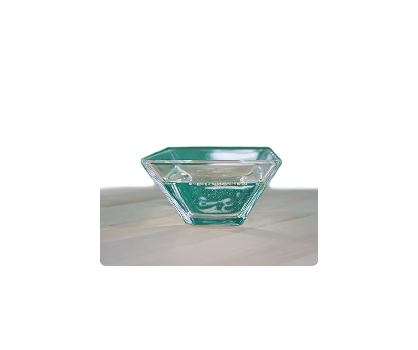 insectoVet šampūns