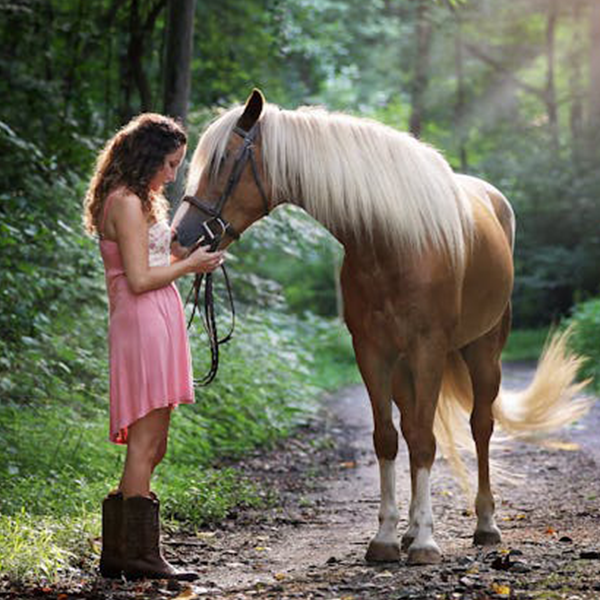 Tranquilizantes / Calma-