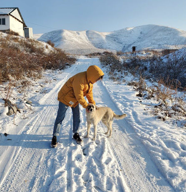Higiene de la estancia y Sal vial