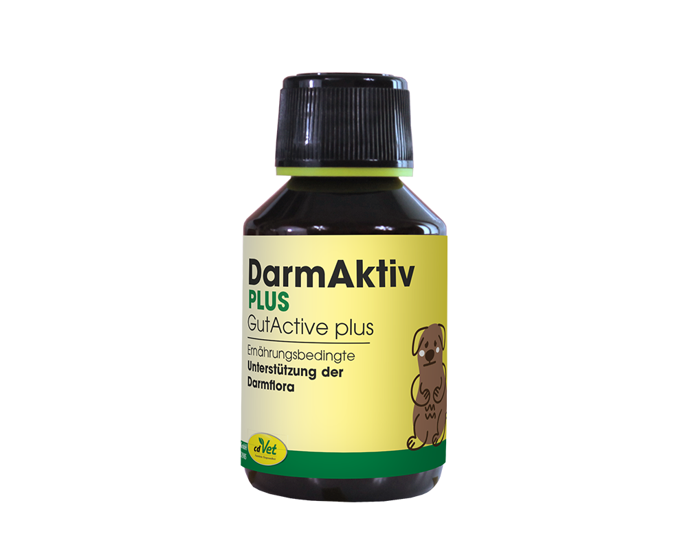 DarmAktiv plus 100 ml