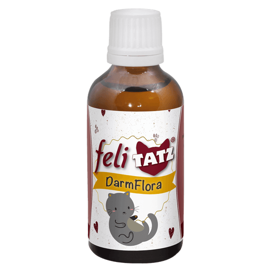 feliTATZ DarmFlora 50 ml