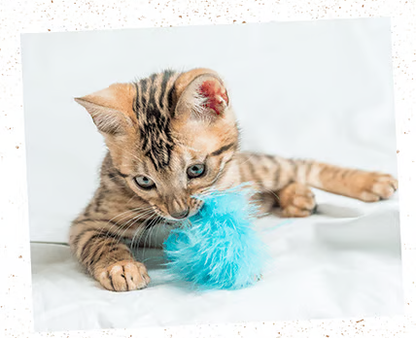 feliTATZ kaķumētras aerosols