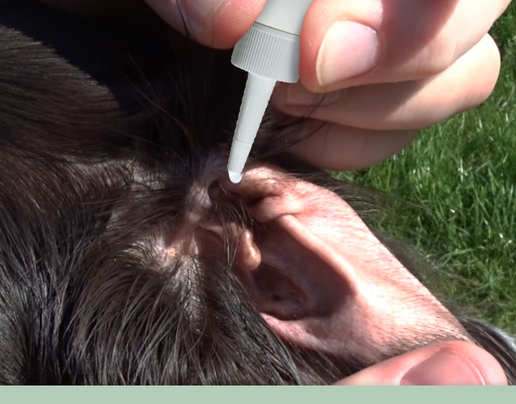 VeaVet Enjuague de Orejas de Musgo Hepático 100 ml