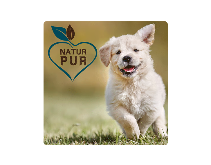 Pienso seco para Perros Fit-Crock Cachorro Cordero 3 kg