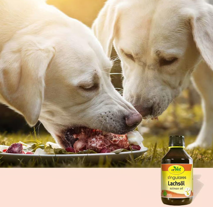 Aceite de Salmón Singulares