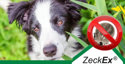 ZeckEx (Protección contra ácaros, piojos masticadores e insectos voladores)